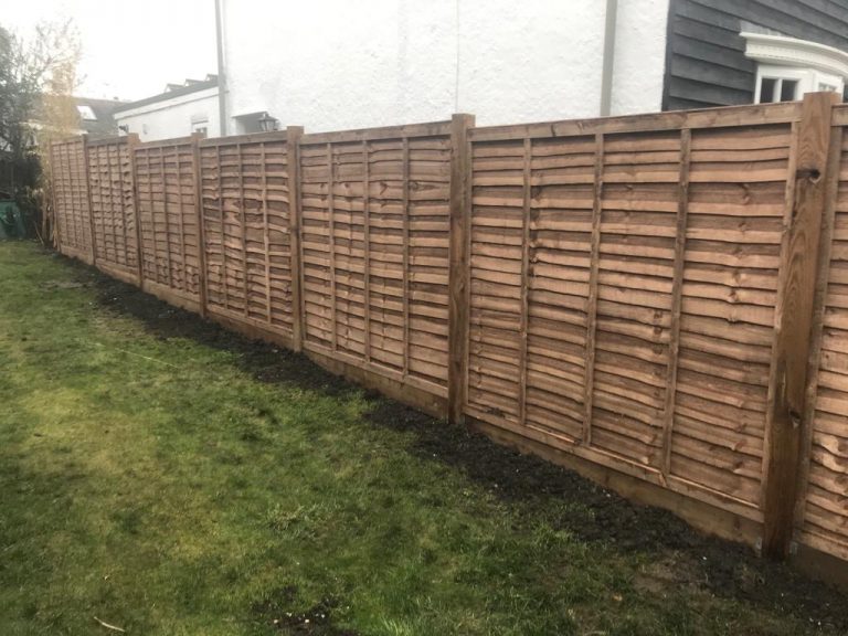 Fencing Cat 1
