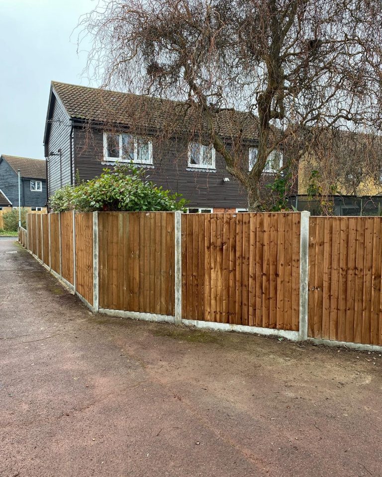 Fencing Cat 3