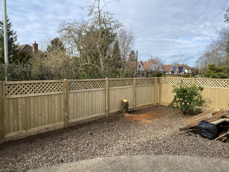 Fencing Cat 4