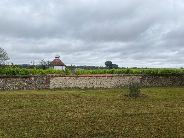 WhatsApp Image 2025-12-16 at 17.22.23