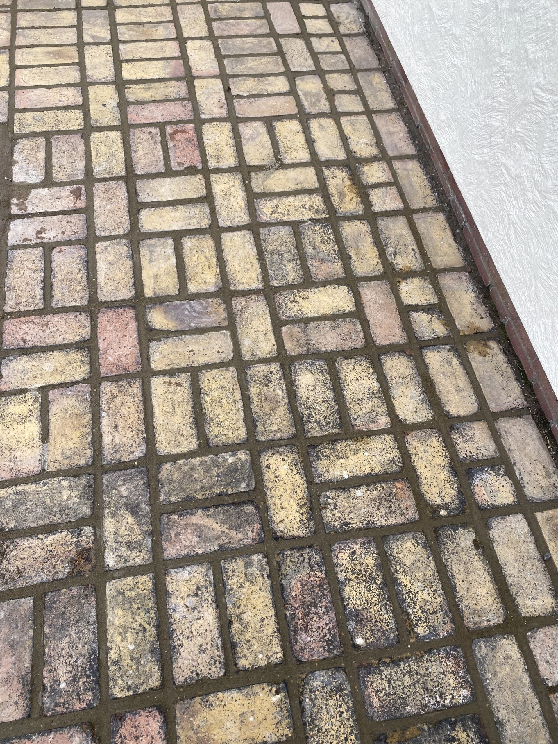 Fencing & Landscaping